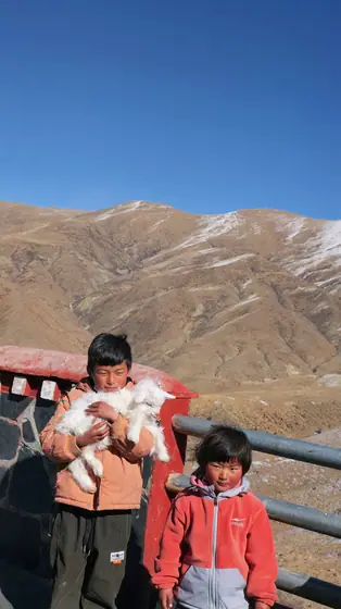 TIBET 8