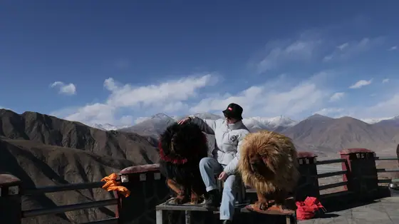 TIBET 10