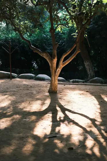 JINGZHOU 3