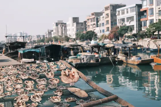 BEIHAI 8